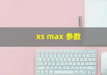 xs max 参数